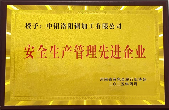 公司动态